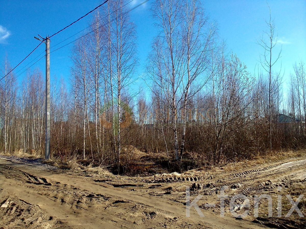 участок 8 сот